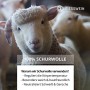 Giesswein Walkwaren AG Oberstaufen, Pantofole Unisex-Bambini, Fuoco, 29 EU