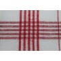 Set di 10 strofinacci - 100% cotone lavabile a 95 ° - resistenti all'ebollizione - Misure 50 x 70 cm, colore 5 blu e 5 rossi