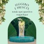 Aperitivo St-Germain Liquore ai fiori di Sambuco, 70 cl