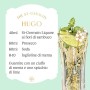 Aperitivo St-Germain Liquore ai fiori di Sambuco, 70 cl