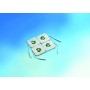 TESMED 8 elettrodi mm. 50x50 + 8 elettrodi Tesmed mm. 50x100 : formula ALL BODY