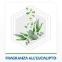 Raid Max Scarafaggi & Formiche 3 in 1 Insetticida, Eucalipto, 1 Confezione da 400 ml
