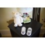 Motorola Baby MBP 16 - Baby monitor audio digitale con schermo LCD da 1.5”, modo eco e luce notturna, bianco