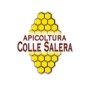 Miele biologico di Santoreggia - Italiano non Pastorizzato | Apicoltura Colle Salera (500 gr)