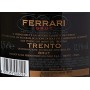 Spumante Ferrari Doc Brut Magnum, 1.5 l