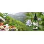ALPHAPOWER FOOD: Stevia liquida, (1 x50ml Gusto vaniglia bourbon) Gusto liquido, Gocce aromatizzanti e dolcificante senza zucche