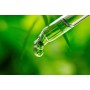 ALPHAPOWER FOOD: Stevia liquida, (1 x50ml Gusto vaniglia bourbon) Gusto liquido, Gocce aromatizzanti e dolcificante senza zucche