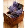 YANKEE CANDLE Diffusore di Aroma a Bastoncini, Lavanda essiccata e Quercia, 120 ml, Durata della fragranza: Fino a 10 Settimane