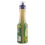 Fabbri - Mixyfruit Agave Bio - 700 g, 500 ml