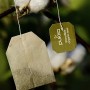 Pukka Wild Apple Cinnamon - Tisana 20 filtri
