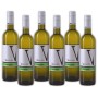 VIPAVA 1894 vino bianco SAUVIGNON 2018, (6 x 0,75 l), vino bianco secco raccolto a mano