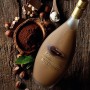 Bottega Gianduia Liquore - 500ml