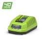 Greenworks Tosaerba G40LM41 Tagliabordi G40LT a Batteria con 3 Bobine a Doppio Filo (Li-Ion 40V Fino a 600 m² Superfice 7000U/m