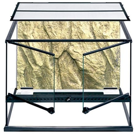 Exo Terra PT2610 Terrario in Vetro per Rettili 60X45Xh45 Cm con Parete Posteriore