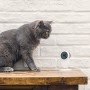 Mi Home Security Camera Basic 1080P SXJ02ZM, Telecamera Sorveglianza, Full HD