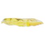 Spontex Guanti Riutilizzabili Milleusi Extra, Lattice 100% Cotone, Giallo
