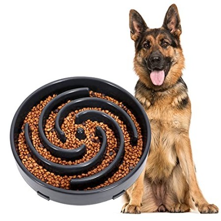 Ciotola per Cani Alimentazione Lenta, anti-imbracatura Antingozzamento Sicurezza Durevole ecologica
