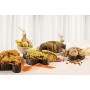 Colomba di Pasqua con Crema Gianduia di Fraccaro Spumadoro - Dolce Pasquale Artigianale, Soffice, Senza Scorze di Arancia Candit
