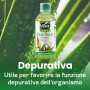 Matt Succo Depurativo di Aloe Vera da Bere - Puro al 100%, 1000 ml