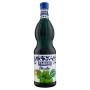 Fabbri Sciroppo Menta 1l