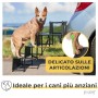 PiuPet® Rampa per cani grandi e piccoli - Caricabile fino a 80 kg - Utilizzabile per tutti i veicoli - Scala per cani pieghevol
