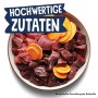 Pets Deli Cibo Umido per Cani 2,4 kg - Confezione Speciale da 6 pacchi | qualità Premium | Cavallo con Patate e Olio di cartamo