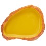 Askoll 281753 PET-538671 Exo Terra Feeding Piatto (Medio), M