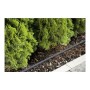 Gardena 01968-20 Manguera, Standard, 7,5 m