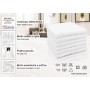 ZOLLNER 6 Asciugamani da Bagno, 50x70 cm, 100% Cotone, Altre Misure e Colori