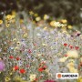GARDENA 3487-20 Foraterra per Orto Giardino Agricoltura per la Dimora di Piantine