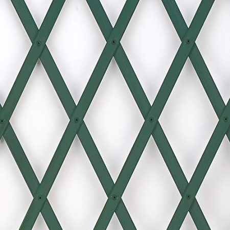 Treplas 1,00x1 m, Verde, Traliccio Estensibile in PVC per Sostegno a Muro di Fiori e Piante Rampicanti