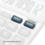 Casio MS-120BM Calcolatrice da Tavolo, Display a 12 Cifre, Calcolo Profitto, Calcolo Imposte