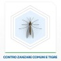 Raid Pacco Promo Liquido Elettrico Antizanzare Tigre e Comuni, Inodore, 2 Diffusori e 2 Ricariche