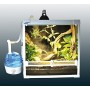 Lucky Reptile SF-1 Nebulizzatore per Terrario Super Fog Humidifier