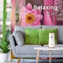 Glade Automatic Spray Base Con Ricarica, Fragranza Relaxing Zen - Formato Scorta - 1 Confezione Con 4 Erogatori + 4 Ricariche - 