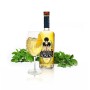 Distillerie Nonino, L'Aperitivo Nonino BotanicalDrink, infuso di erbe botaniche 100% vegetale - bottiglia in vetro da 700 ml