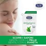 Neutro Roberts, Sapone Liquido Ecopouch Antibatterico, Ecoricarica, Pelle Sana e Protetta, Té Verde - 12 Confezioni da 400 ml