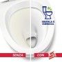 Wc Net Energy con Candeggina, Detergente Igienizzante in Polvere per WC, Schiuma Autopulente con Azione Sbiancante, 4 Buste x 12