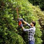 BLACK+DECKER BEHT201-QS Tagliasiepi a filo 420W, Lunghezza lama 45cm