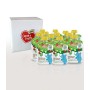 Cuore Di Frutta Frullato Di Frutta Bio Mela Banana E Pera, 12 Confezioni Da 90 Gr, 1080 Grammo