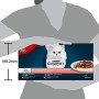 Purina Gourmet, Perle, pregiato cibo per gatti, filettini di carne di pollo, manzo, salmone e coniglio, cibo umido di alta quali