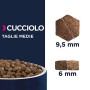 Eukanuba Cibo Secco per Cani, Cuccioli in Crescita, Cani di Taglia Media, Ricca di Pollo Fresco