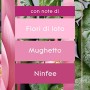 Glade Sense&Spray con Ricarica, Fragranza Relaxing Zen, Formato Scorta, 1 Confezione con 4 Erogatori e 4 Ricariche