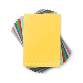 Pigna Monocromo 02298880Q, Quaderno Formato A4, Rigatura 0Q, Quadretti 5 Mm con Margine per 2° e 3° Elementare, Carta 100G/Mq,