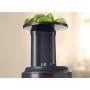 Kenwood JMP601SI PureJuice Estrattore di Succo a Freddo, Centrifuga Slow Juicer con Accessorio Sorbetto, 150 W, 1.3 Litri, Plast