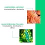 Collistar Crema Snellente Alta Definizione - 400 ml.