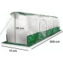 Bio Green Serra da Giardino per Orto a Tunnel Telo Trasparente Verde 300x71xh79 cm