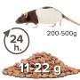 Beaphar Care Plus Sabbia per Ratto Confezione da 5 Kg