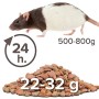 Beaphar Care Plus Sabbia per Ratto Confezione da 5 Kg