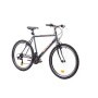 F.lli Schiano Ghost, Bici MTB Men's, Antracite-Arancio, 26''